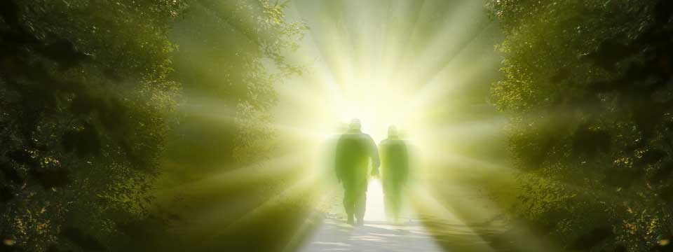 Life Between Lives Soul Regression